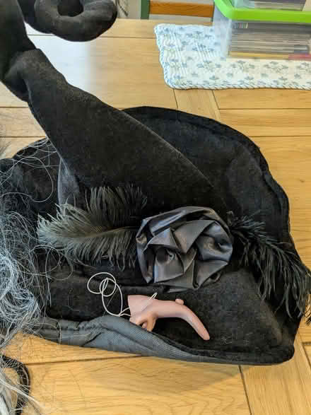 Photo of free Witch hat nose wig and cloak (Camberley GU15) #1