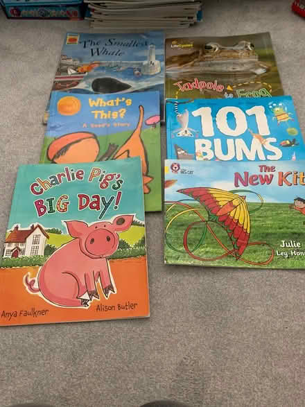 Photo of free Childrens books (Emsworth PO10) #1