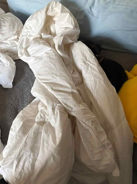 Photo of free Single Summer/Winter duvet (Taunton Fairwater District Ward TA2) #2