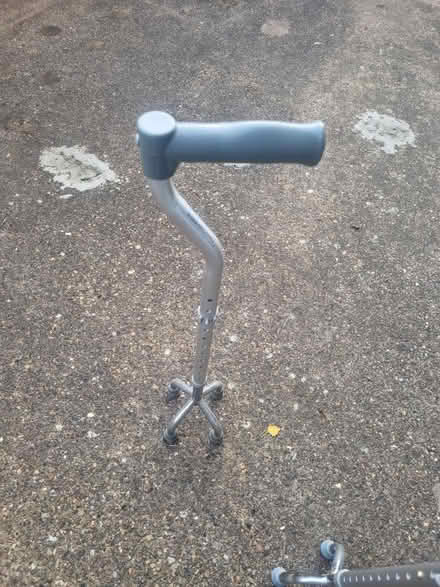 Photo of free walking stick (Bestwood Park NG5 5SS) #1