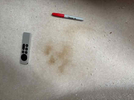 Photo of free Very Large Top Quality Wool Carpet Remnant with Stains (South Kensington SW3) #4