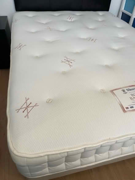 Photo of free Double bed (Epsom KT185TB) #4