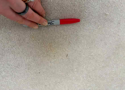 Photo of free Very Large Top Quality Wool Carpet Remnant with Stains (South Kensington SW3) #2
