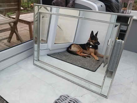 Photo of free Decorative mirror (St. Agnes TR5) #1