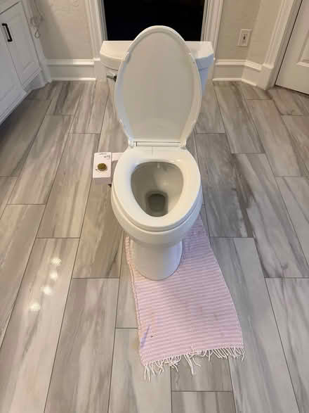 Photo of free Koehler toilet bidet (Woodlands, Indian Springs) #2