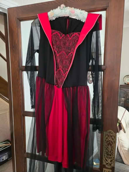 Photo of free Ladies Halloween dress (Copnor PO3) #1