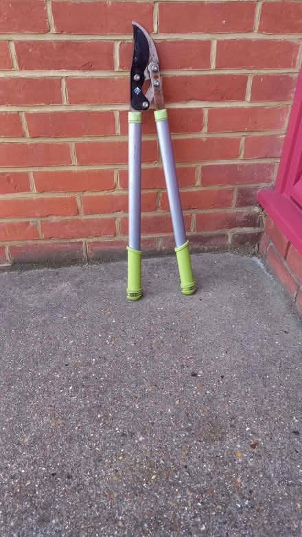 Photo of free Loppers (Sturry CT2) #1