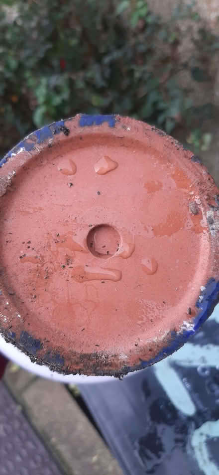 Photo of free Plant pot (Kingsway BA2) #1