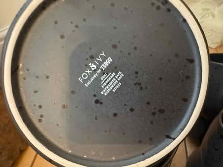 Photo of free Fox and Ivy dinner set (Highbury islington N5) #4