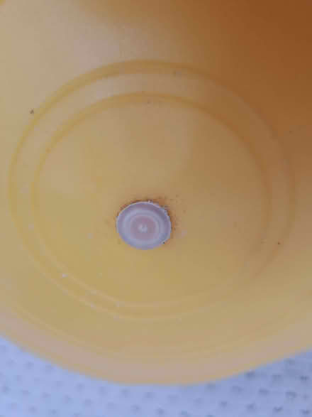 Photo of free Inflatable exercise ball (Milber TQ12) #3
