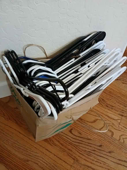 Photo of free Plastic hangers (Ortega Park, Sunnyvale) #1