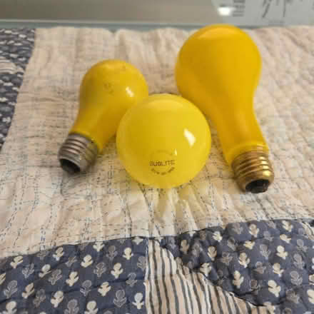 Photo of free Yellow Bug Lights (Mt.Pleasant and Eglinton area) #1