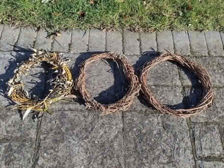 Photo of free Weeping willow branches for crafts or pets (Pokesdown BH5) #2