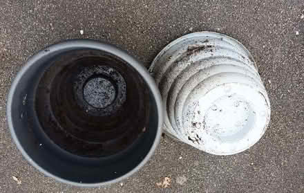 Photo of free Large planters (Hockley Port B18) #1