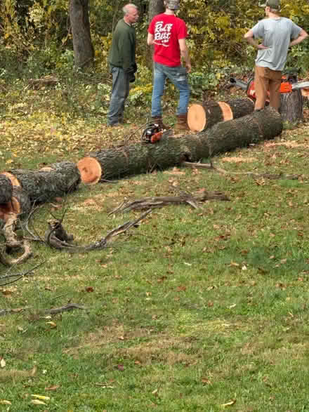 Photo of free Wood from cherry tree (Mechanicsburg) #1