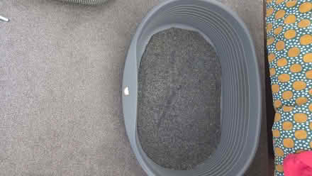 Photo of free Large dog beds (Carlisle CA1) #3