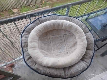 Photo of free Cat bed (Nundah) #1