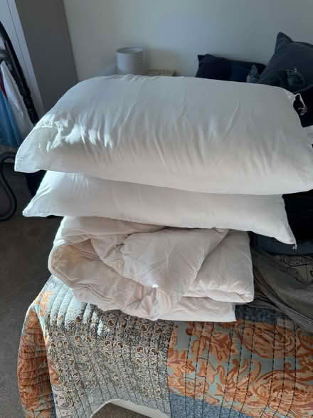 Photo of free Two pillows and a double duvet (New Marston OX3) #1