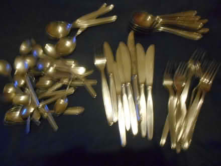 Photo of free Cutlery (Maiden Erlegh Nature Reserve RG6) #1