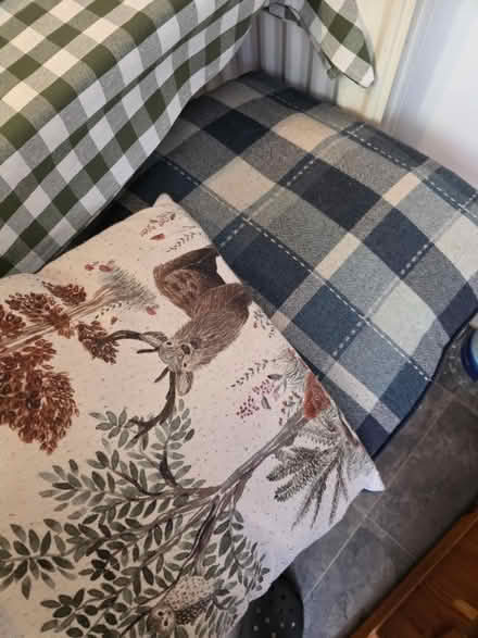 Photo of free Cushions (Stonehouse GL10) #2
