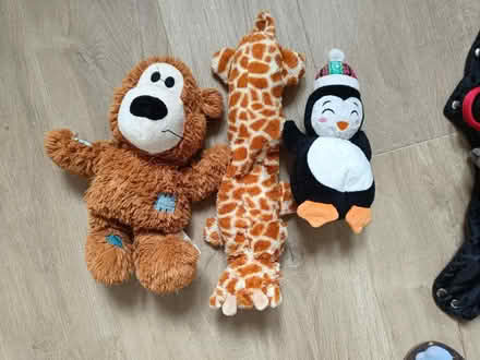 Photo of free Dog's soft toys (Letchworth SG6) #1