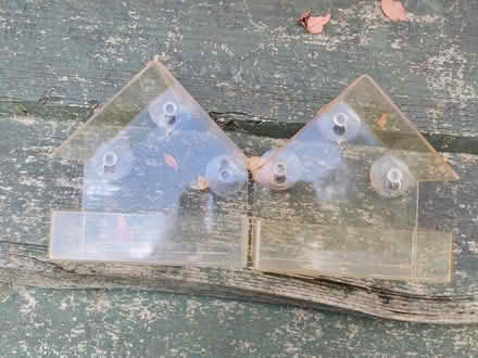 Photo of free Window bird feeders (Pipers Ash CH2) #1