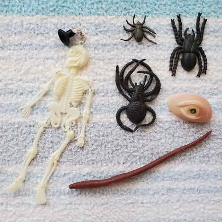 Photo of free Halloween decor (DeAnza Blvd - Stvns Crk & 280) #1