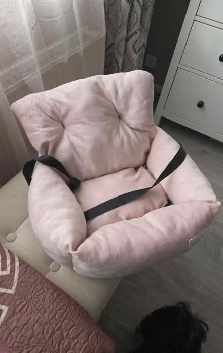 Photo of free X small dog car bed (Bilton rugby CV22) #1