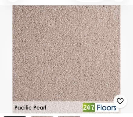 Photo of free Very Large Top Quality Wool Carpet Remnant with Stains (South Kensington SW3) #1