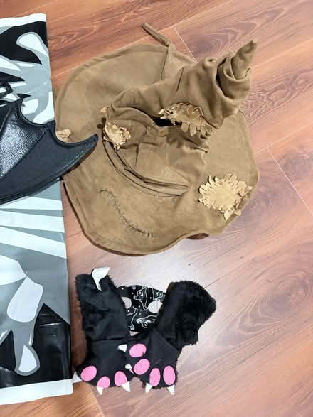 Photo of free Children’s Halloween Costumes (North Laurel MD) #2