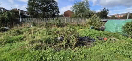 Photo of Anything for Our New Allotment (Stafford) #1
