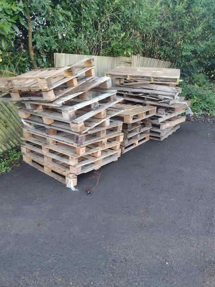 Photo of free Firewood (Crow, Ringwood) #1