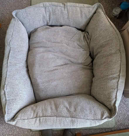 Photo of free Dog bed (Felixstowe IP11) #1