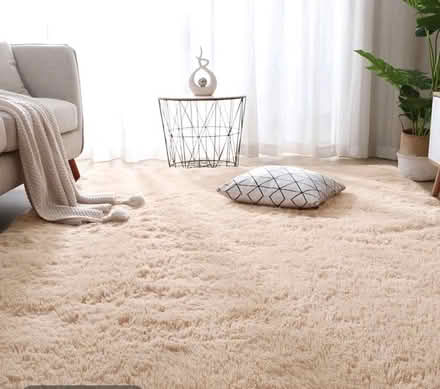 Photo of free Beige rug (Drayton PO6) #1