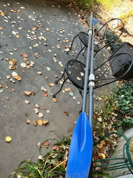 Photo of free 296 sculling oars (Dominion Hills) #2