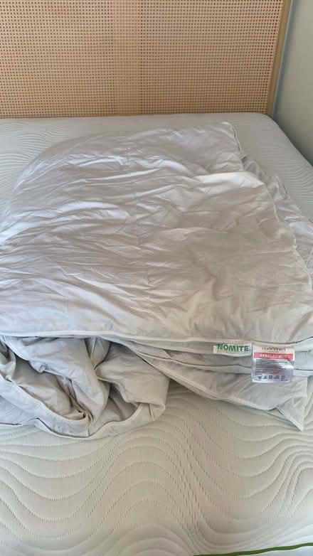 Photo of free Pillows (4) and double duvets (2) (Twickenham TW1) #1