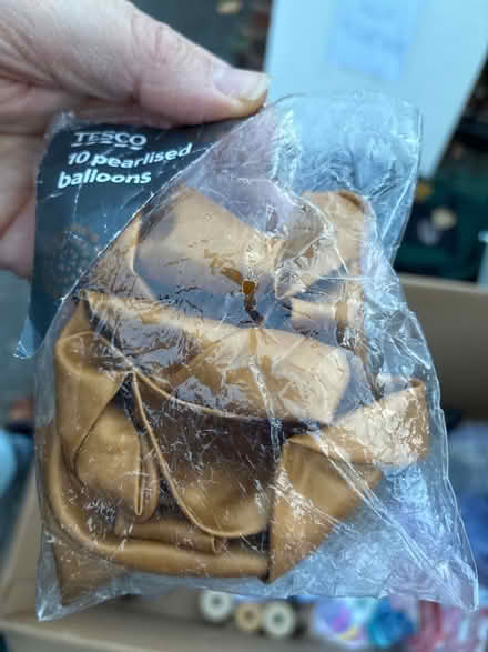 Photo of free Gold pearlised balloons (about six) (Great Boughton CH3) #1