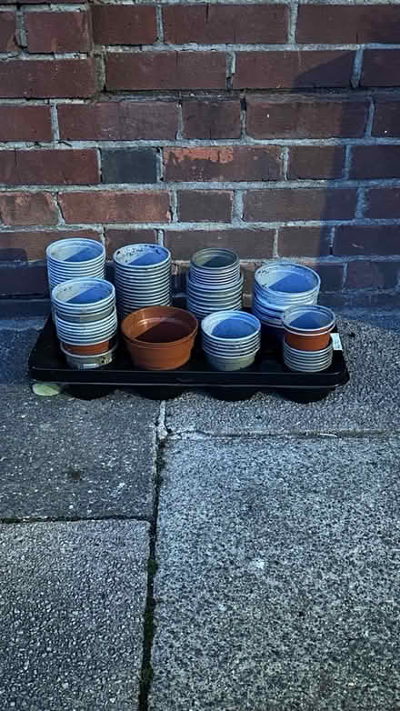 Photo of free Lots of plastic plant pots (Streatham Hill SW2) #2