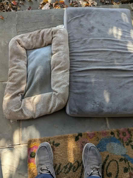 Photo of free 2 Dog beds (used but pretty clean and I believe can be washed) #1