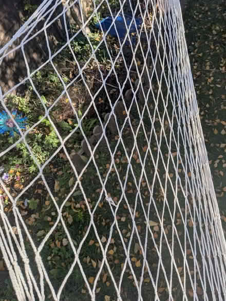 Photo of free Full size rope hammock (Baldock SG7) #4