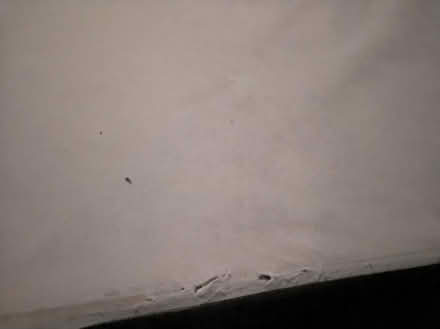 Photo of free Bed base 190 x 138 x 37cm (North Acton) #2