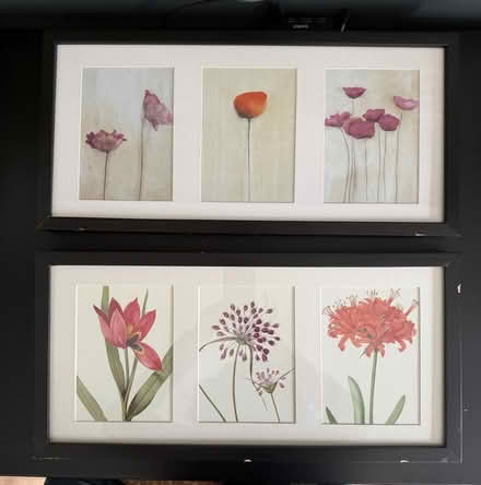 Photo of free 2 IKEA picture frames (Bridgeport, Kitchener) #1