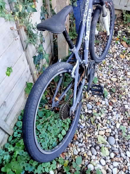 Photo of free BMX . Ridgeback (Polegate BN26) #3
