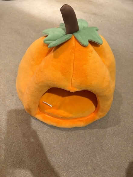 Photo of free Pumpkin Cat Bed (Topsham Ex3 0NB) #1