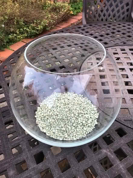 Photo of free Fish Tank (Edgbaston B15) #1