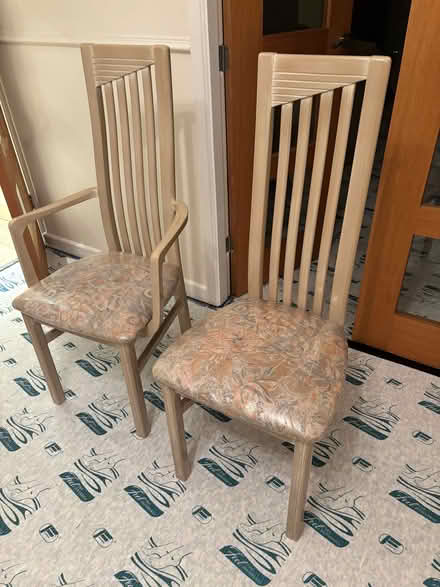 Photo of free 6 dining chairs (Monkspath B90) #1