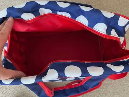 Photo of free Large (cool) bag (Cambridge GL2) #2