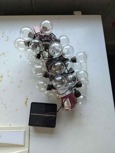 Photo of free X-mas Lights & Decorations (New Paltz) #4