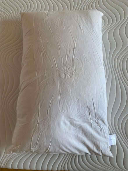 Photo of free Pillows (4) and double duvets (2) (Twickenham TW1) #2