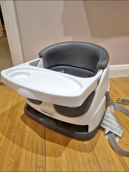 Photo of free Ingenuity Baby Seat (South Norwood SE25) #1